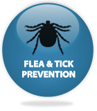 Flea & Tick Prevention